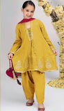 Embroidered panelled A-line frock paired