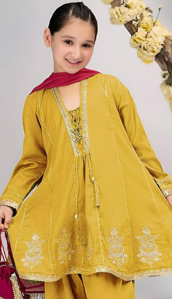 Embroidered panelled A-line frock paired