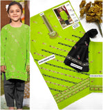 Green Kids Embroidered Suit