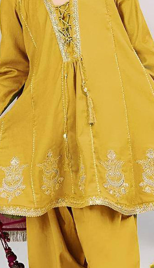 Embroidered panelled A-line frock paired