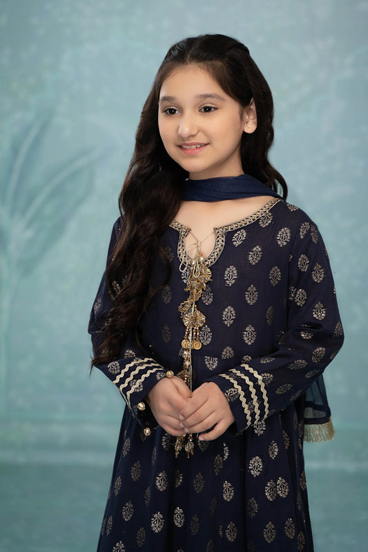 3 Piece Embroidered Suit