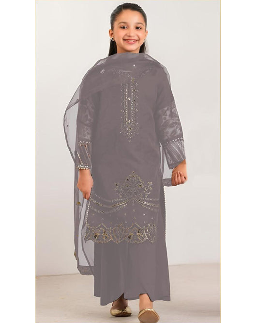 2 piece embroidered kids suit
